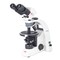 Motic Instruments Usa BA310POL Binocular Compound Upright Microscope 1100100402241 - alternate 1